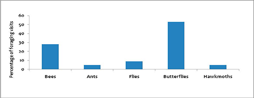 media/c1683fa5800a403291b888fea09cb6e5_002.png